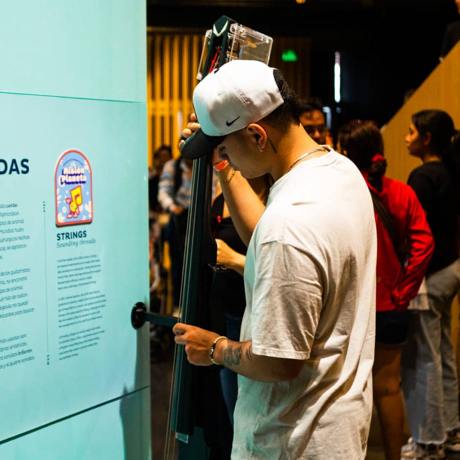 Miniatura de galería