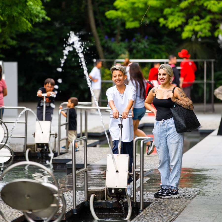 Miniatura de galería