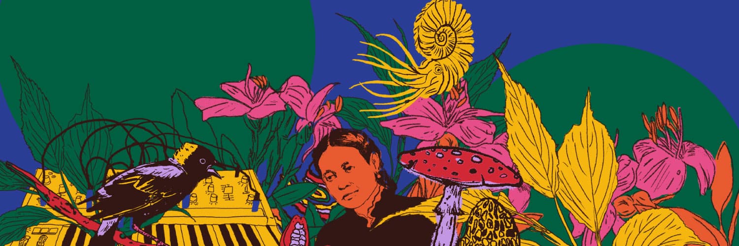 Ilustración. En la parte inferior derecha de la imagen varias plantas, flores, hongos, un pájaro y una mujer entre ellos. 