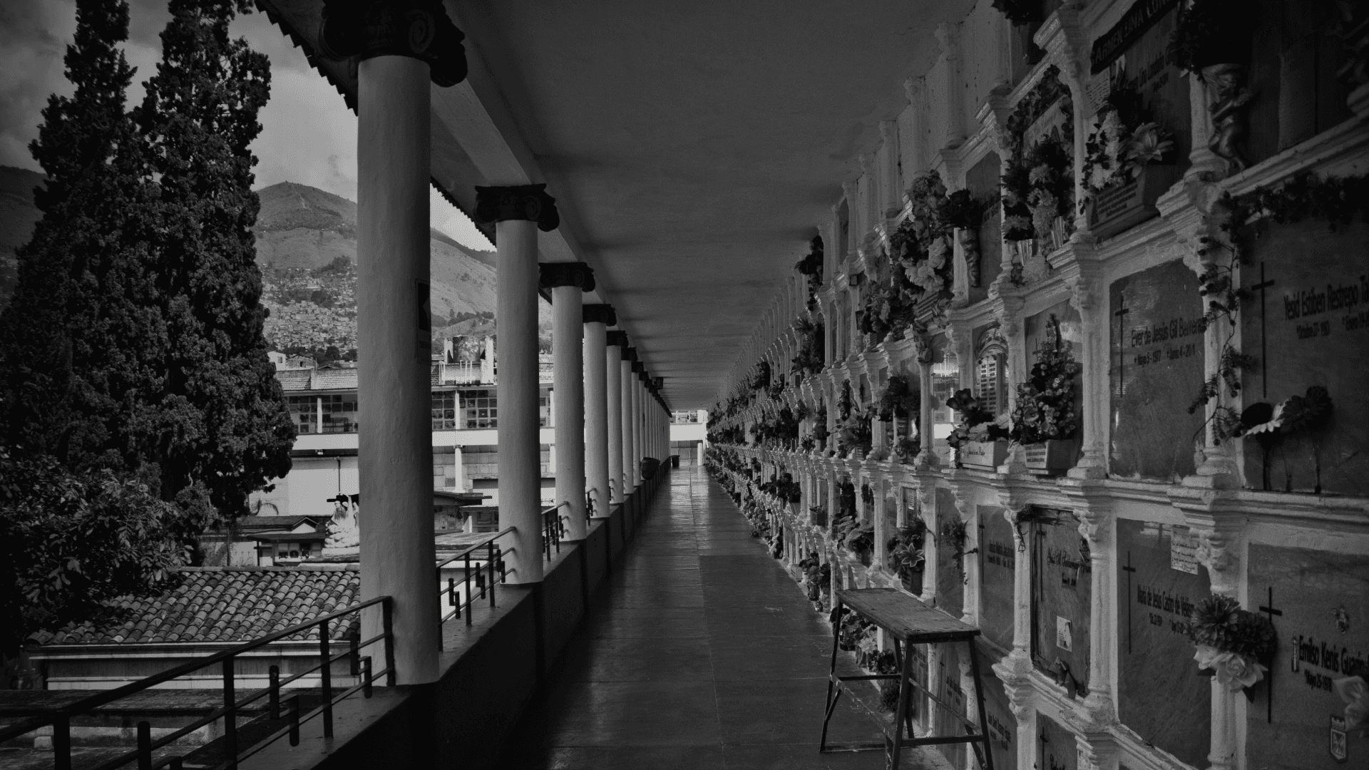 Fotografía. La imagen muestra un corredor del Cementerio Museo San Pedro con nichos en ambos lados. Al fondo se pueden ver las montañas y una parte de la ciudad de Medellín.