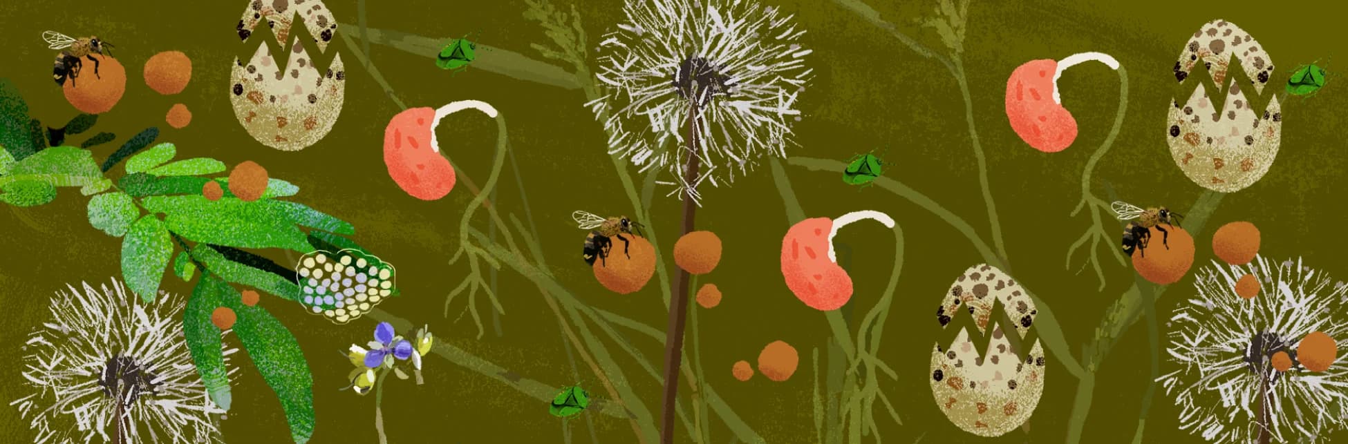 Ilustración. Sobre un fondo verde olivo con formas vegetales difusas, se distribuyen elementos naturales a lo largo de la imagen: dientes de león blancos y esponjosos, semillas redondas anaranjadas, vainas rosadas, huevos manchados con grietas, abejas posadas sobre frutas, pequeños escarabajos verdes, hojas texturizadas en distintos tonos de verde, un racimo de esporas y una flor violeta. Las raíces y tallos de las plantas atraviesan el fondo creando una red orgánica que une los objetos.