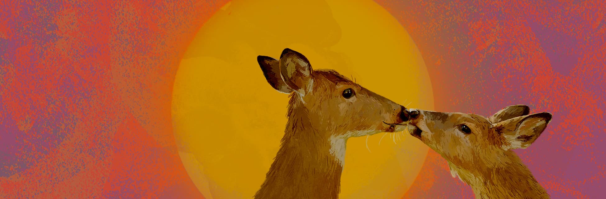 
Ilustración. Sobre un fondo en tonos cálidos, predominado por un sol amarillo, se destacan dos venados que se tocan suavemente con el hocico.