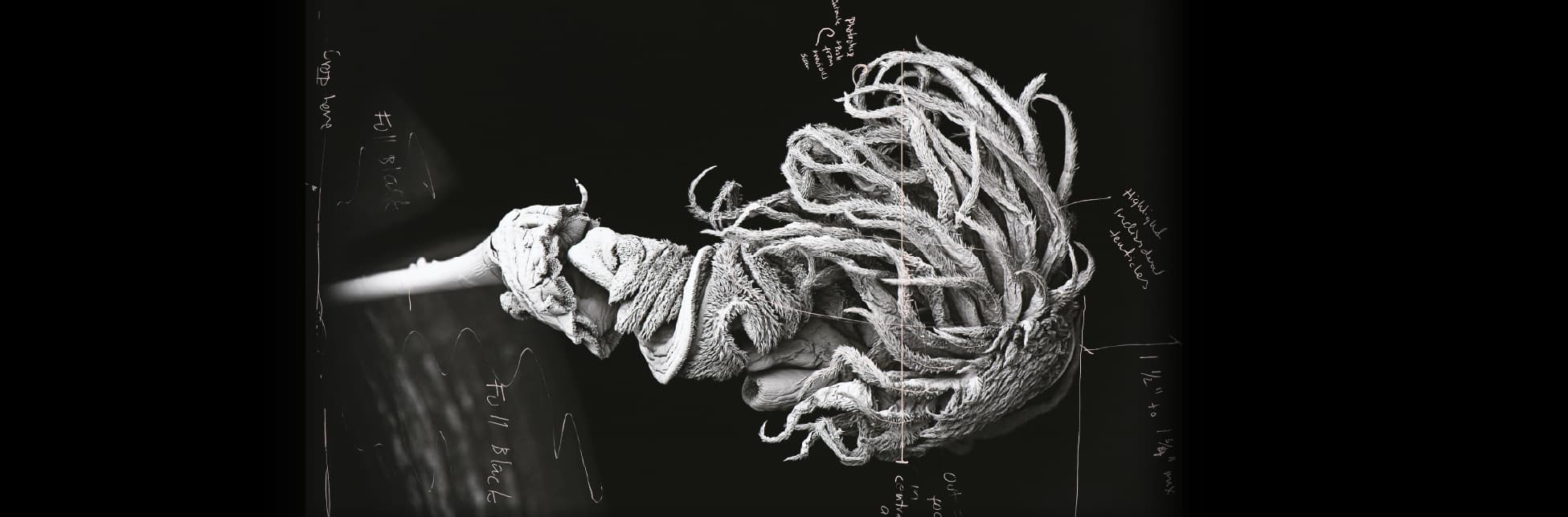 Fotografía intervenida digitalmente. Sobre un fondo negro, aparece una imagen ampliada y detallada de un órgano copulatorio de un caracol, con apariencia fibrosa y compleja, acompañada de anotaciones manuscritas en inglés relacionadas con la imagen, como “out of focus in central area” y “full black”. 