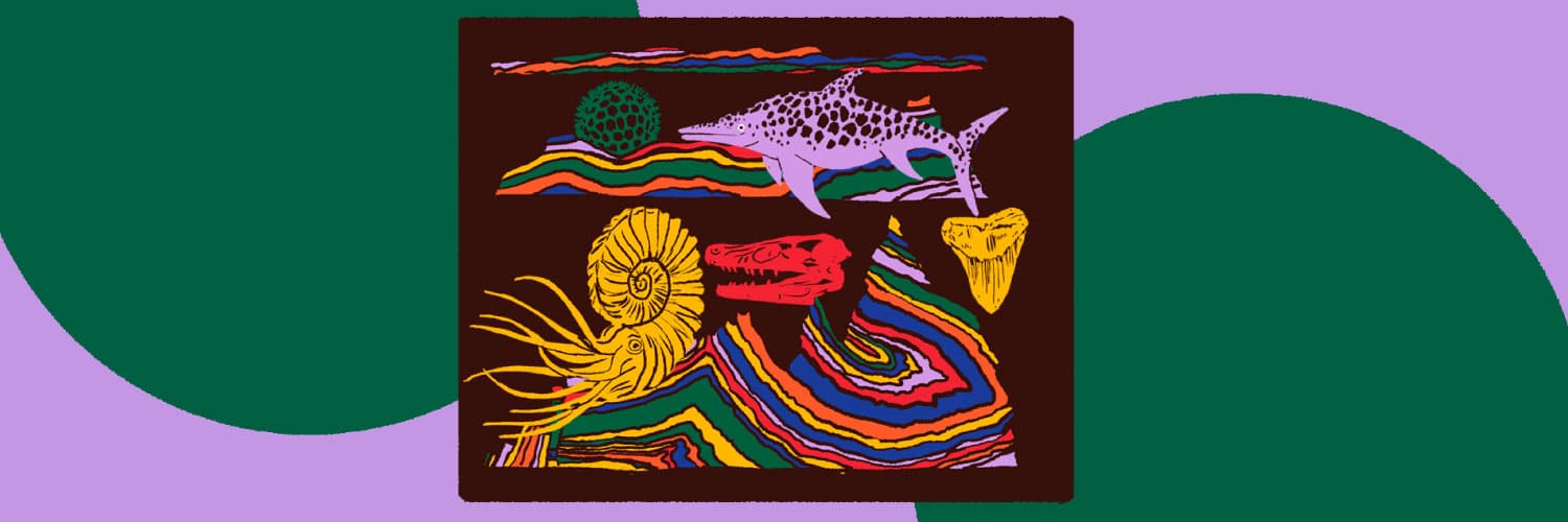 Ilustración. En la parte inferior de la imagen un recuadro que tiene dentro líneas consecutivas de diferentes colores como capas, varios fósiles y animales prehistóricos. 