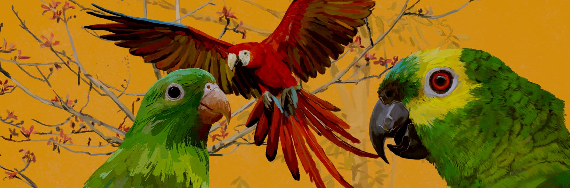 Ilustración. Sobre un fondo amarillo con ramas finas y hojas rojizas, se observan tres aves en primer plano: un loro de cabeza amarilla y pico negro, un perico de plumaje verde claro y una guacamaya roja en vuelo con las alas extendidas.