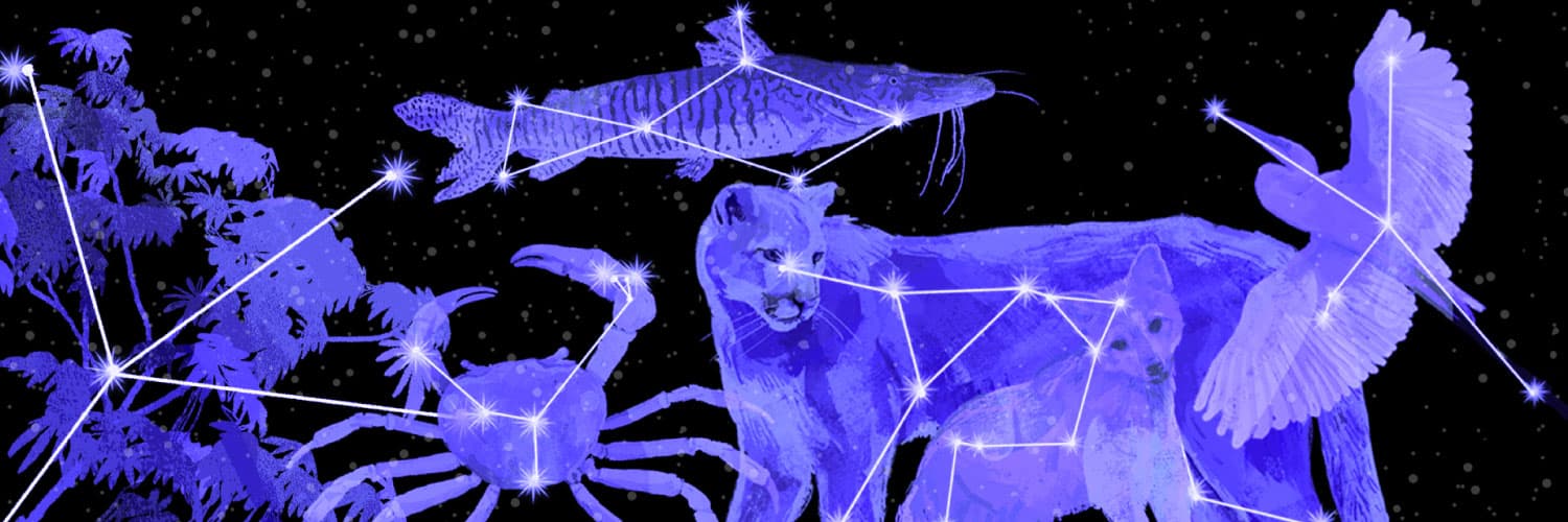 Ilustración. Sobre un fondo estrellado aparecen las figuras de un cangrejo, un bagre, un zorro, una grulla y un puma en tonos azules y sobre cada uno aparecen varios puntos brillantes unidos por líneas.