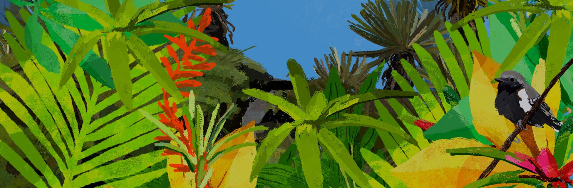 Ilustración. Sobre un fondo de árboles y arbustos aparece en la esquina inferior izquierda un pájaro gris pequeño sobre una ramita.