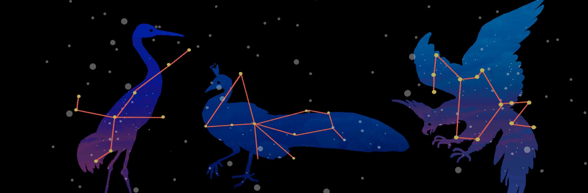 Ilustración. Sobre un fondo negro con pequeñas burbujas blancas que parecen estrellas, hay tres figuras de aves. La primera figura es una grulla azul con una constelación amarilla dibujada sobre su cuerpo. La segunda figura es un pavo real azul, también con una constelación amarilla sobre su cuerpo. La tercera figura es un fénix azul con detalles morados, con una constelación amarilla sobre sus alas y cuerpo.