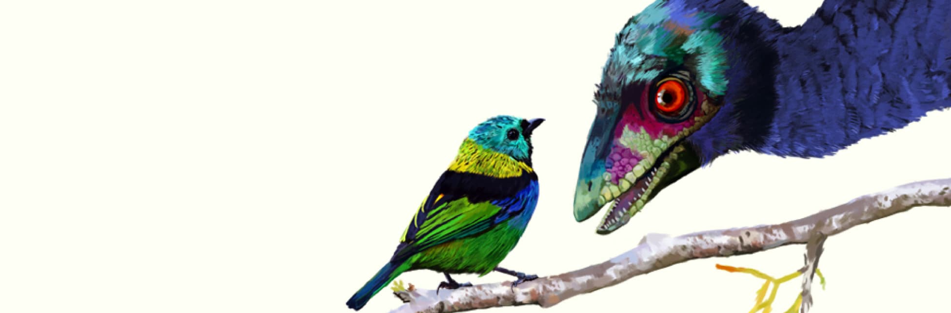 Ilustración. En la parte inferior de la imagen un pájaro parado sobre una rama de medio perfil. Frente a él un animal parecido a un pájaro que dobla su tamaño y tiene pequeños dientes puntudos. Ambos se miran fijamente. 