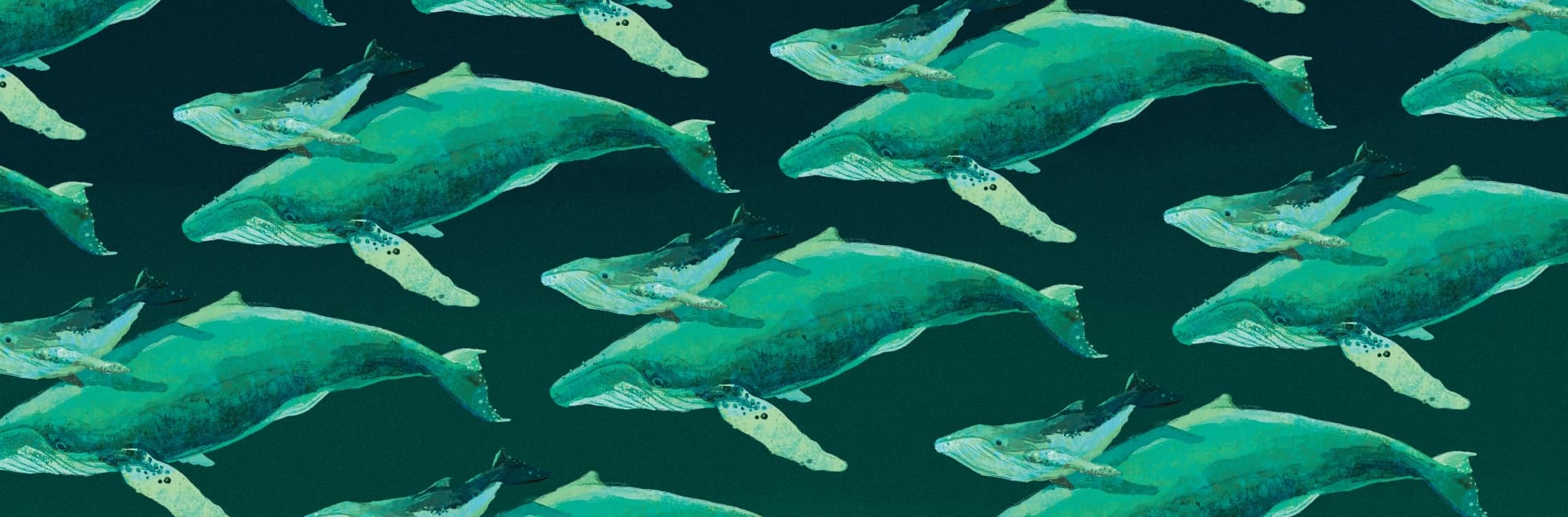 Ilustración. Sobre un fondo verde oscuro se repite en patrón una escena submarina compuesta por una ballena grande y una cría que nada junto a ella. Ambas están representadas en tonos turquesa, con detalles blancos y azul oscuro que sugieren textura y volumen. Las ballenas tienen aletas pectorales claras y hocicos prominentes con líneas que evocan los pliegues característicos de las ballenas jorobadas. La cría se ubica en posición paralela al cuerpo de la ballena adulta, justo por encima de su aleta