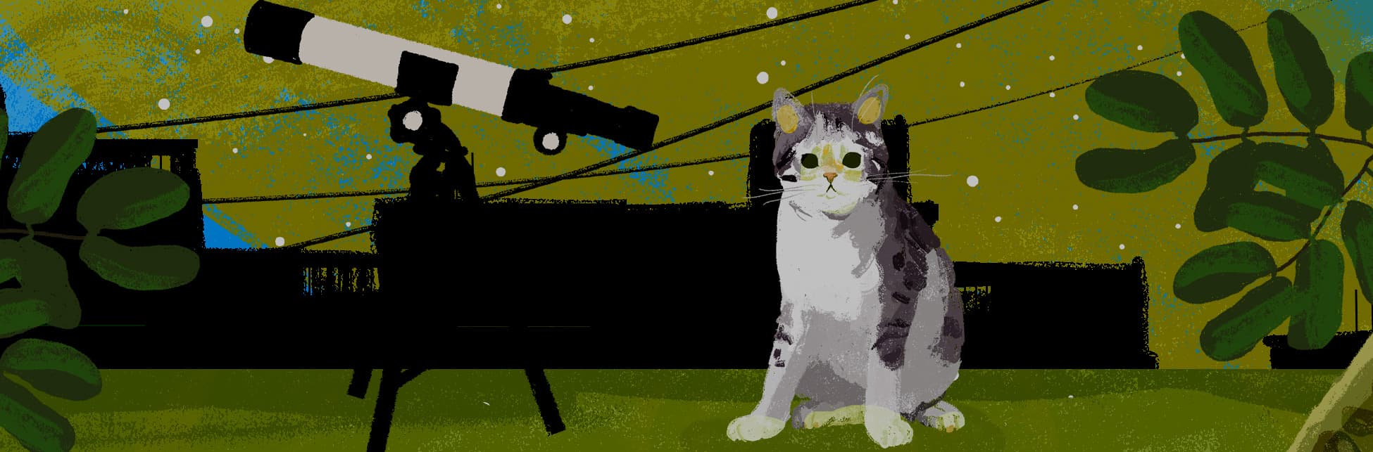 Ilustración. En el centro de la imagen un gato de colores grises y blancos sentado de frente, a su lado un telescopio. 