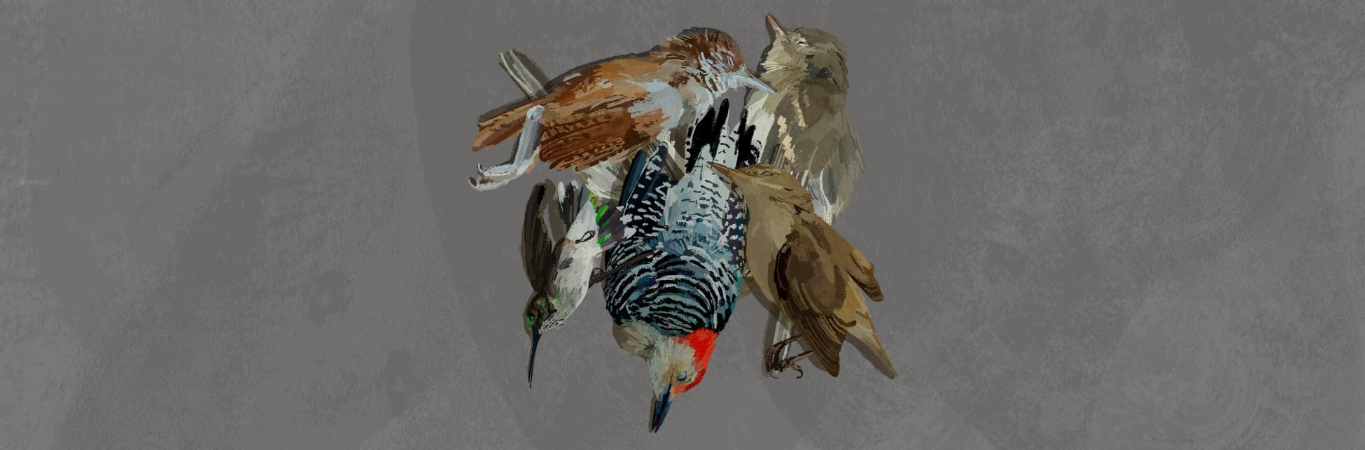 Ilustración. En el centro varios pájaros rígidos, parece que están muertos.