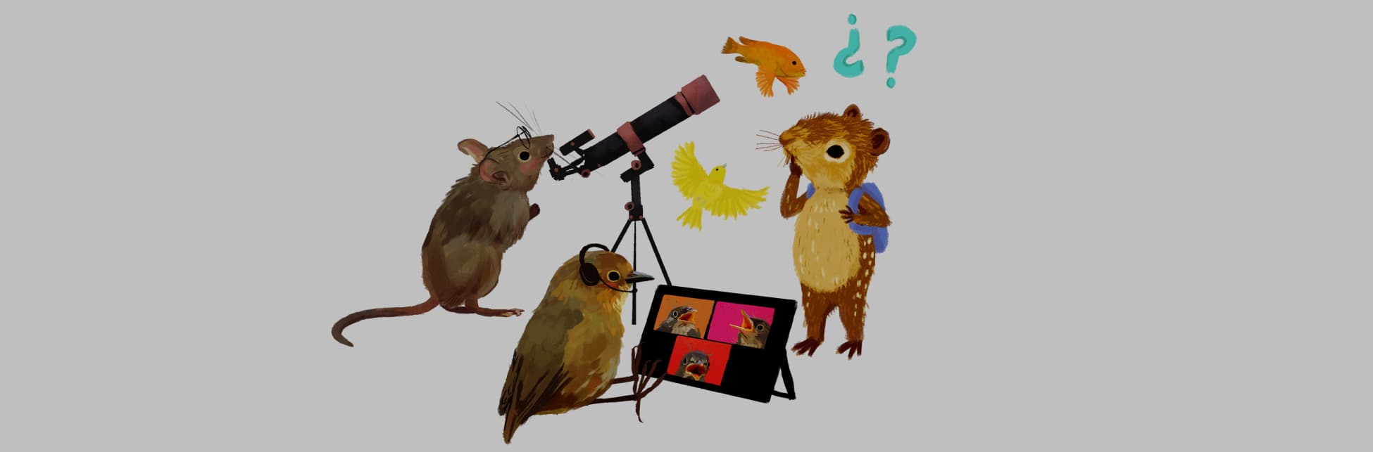 Ilustración. En el centro de la imagen un ratón con lentes viendo por un telescopio, a su lado un pájaro pequeño con audífonos sentado frente a una tablet que tiene en la pantalla tres recuadros con pájaros, de pie a su lado una paca, un animal de patas y orejas cortas con hocico puntiagudo color café con su pata derecha apoyada en el hocico, mirando un pájaro y un pez que hay frente a ella.