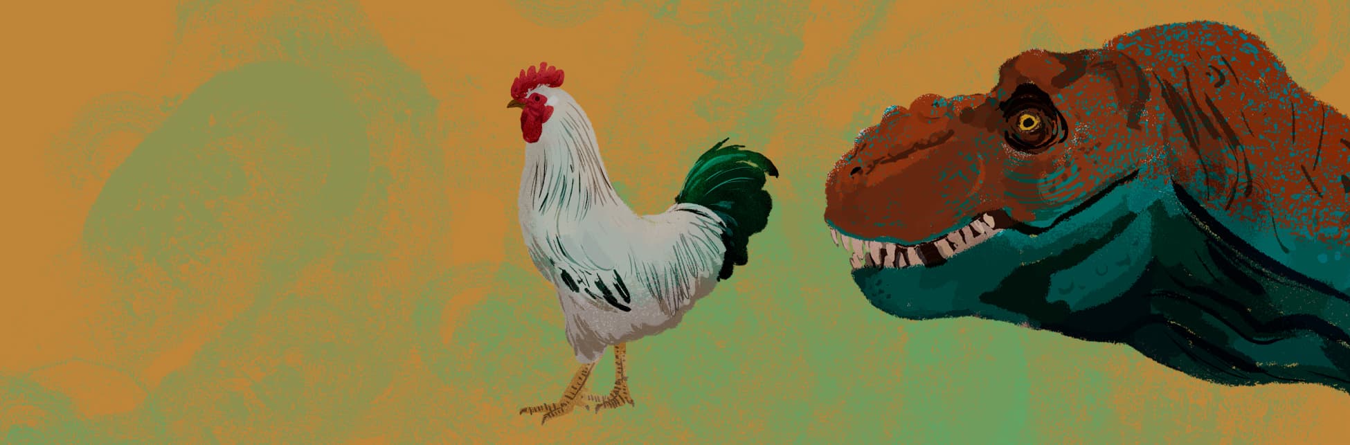 Ilustración horizontal. En el centro de la imagen una gallina de pie, de medio perfil mirando hacia la izquierda de la imagen, es de color blanco con cresta roja y cola color verde. Detrás de la gallina, a la derecha de la imagen la cabeza de un tiranosaurio con la boca entreabierta dejando ver sus dientes.