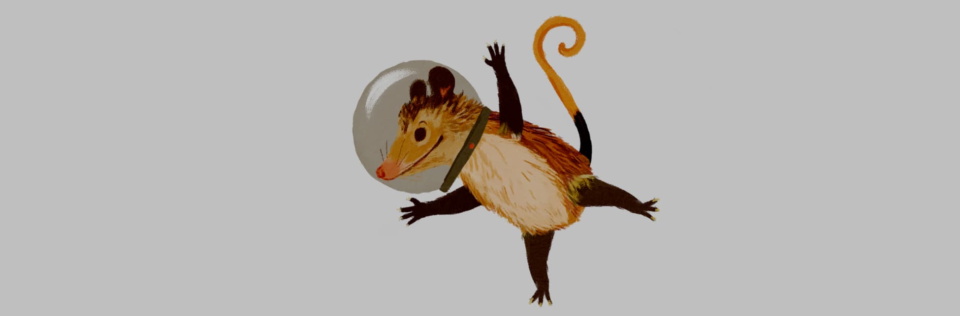 Ilustración. Una zarigüeya con casco de astronauta.