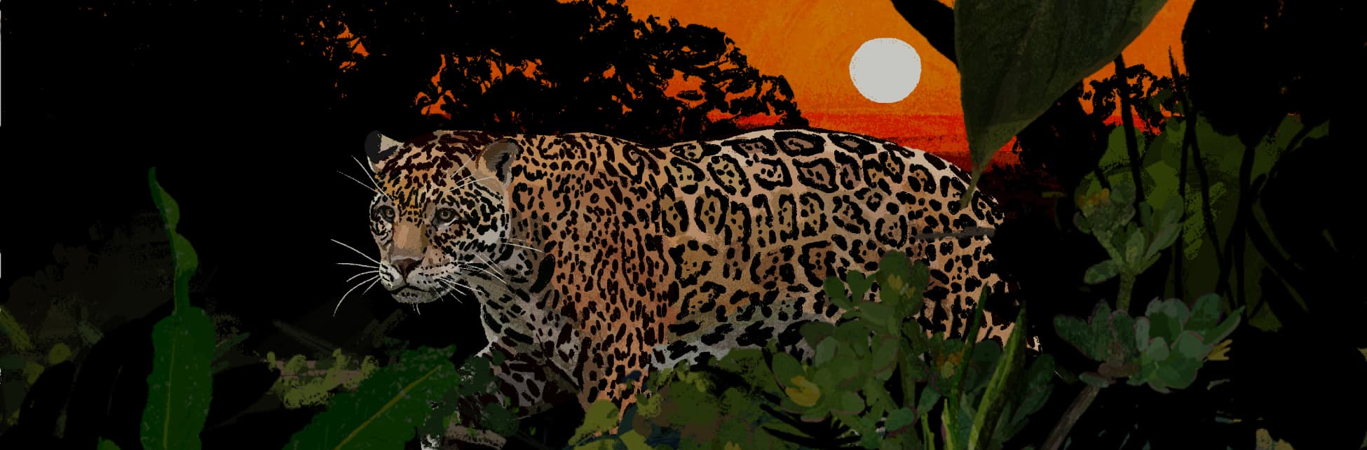 Ilustración. Sobre un paisaje selvático, en el centro de la imagen aparece un jaguar de cuerpo completo y de medio perfil. 