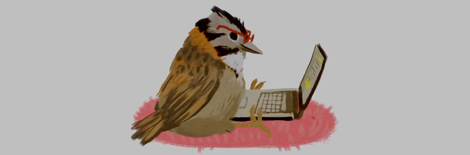 Ilustración. En la parte inferior de la imagen un pájaro pequeño está sentado de perfil, tiene lentes rojos y frente a él hay un computador portátil. 