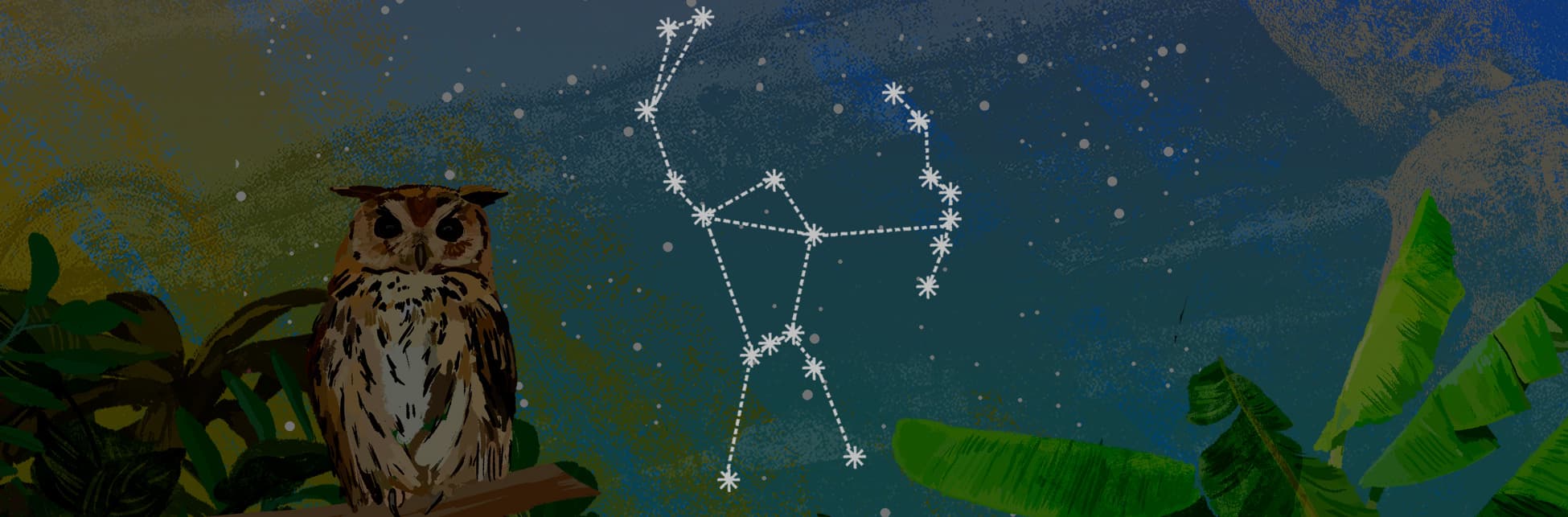 Ilustración. En la parte inferior de la imagen aparece un búho de frente y de cuerpo completo sobre una baranda de madera, al lado varias hojas. Al fondo, un cielo estrellado con el asterismo de la constelación de Orión. Líneas que conectan estrellas formando figuras.