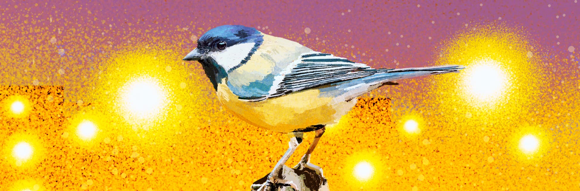 Ilustración. En la parte izquierda de la imagen un pájaro de colores azules y amarillos parado sobre una superficie color café. 