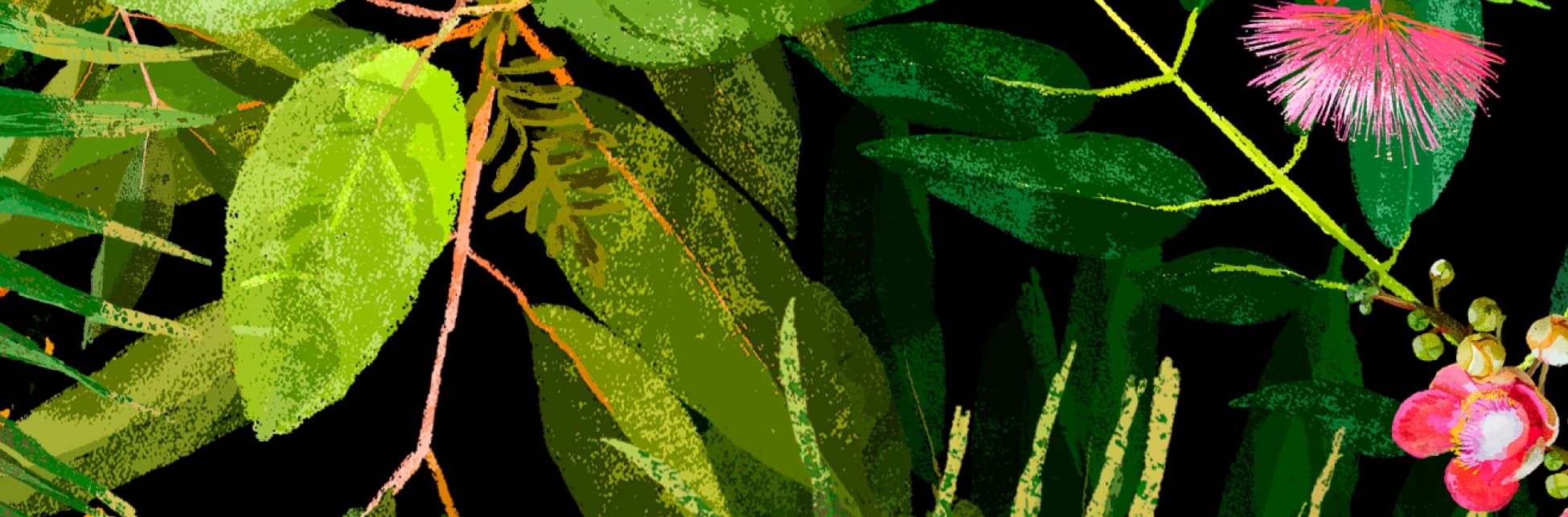 Ilustración. Sobre un fondo negro, se observan múltiples hojas verdes de distintas formas, tamaños y tonos, dispuestas de manera abundante y superpuestas entre sí. A la derecha, emergen dos flores: una de filamentos largos y delgados de color fucsia y otra de pétalos redondeados, rosados y blancos, acompañada de pequeños botones florales. Las ramas que sostienen las hojas y flores son delgadas y de tonos cálidos como el rosa y el amarillo.