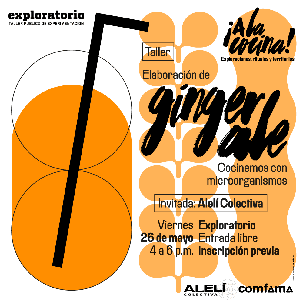 Ilustración. En el centro de la imagen un vaso con la bebida ginger ale y un pitillo. A cada lado tiene hay una rama de hojas y una raíz de jengibre.
