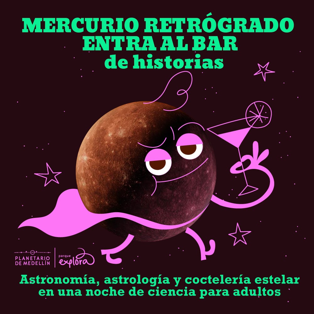 Imagen de galería