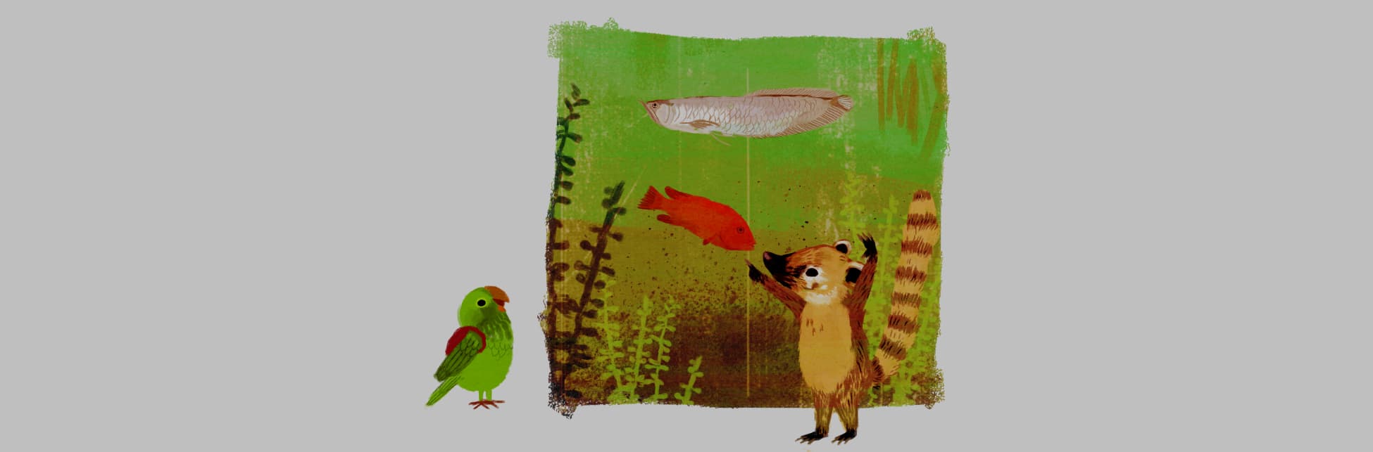 Ilustración. En el centro de la imagen un cuadrado que contiene plantas, un fondo verdoso y varios peces sobre él, en la parte inferior lo observan un lorito con un morral rojo en la espalda y un cusumbo parado sobre sus patas traseras, un animal pequeño con hocico y cola alargados y orejas pequeñas.