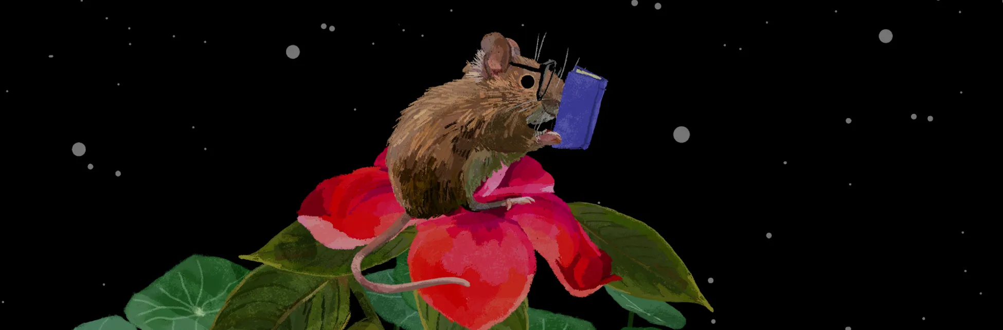 Ilustración. Sobre un fondo negro salpicado de pequeños puntos grises que evocan un cielo estrellado, se ve una flor grande de pétalos rojos y rosados con hojas verdes amplias. Encima de la flor está sentado un ratón de pelaje marrón, orejas rosadas y bigotes largos. El ratón lleva unas gafas pequeñas y sostiene con sus patas delanteras un libro azul, que lee con atención mientras su cola cuelga entre los pétalos.