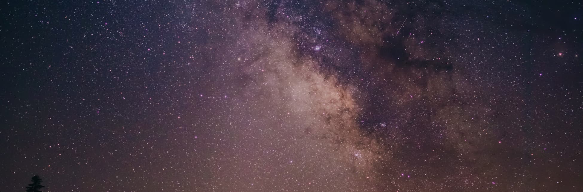Foto. Sobre la silueta de varios pinos aparece un cielo estrellado atravesado por la Vía Láctea, una franja del cielo que forma una línea diagonal y tiene partes más claras y partes más oscuras.