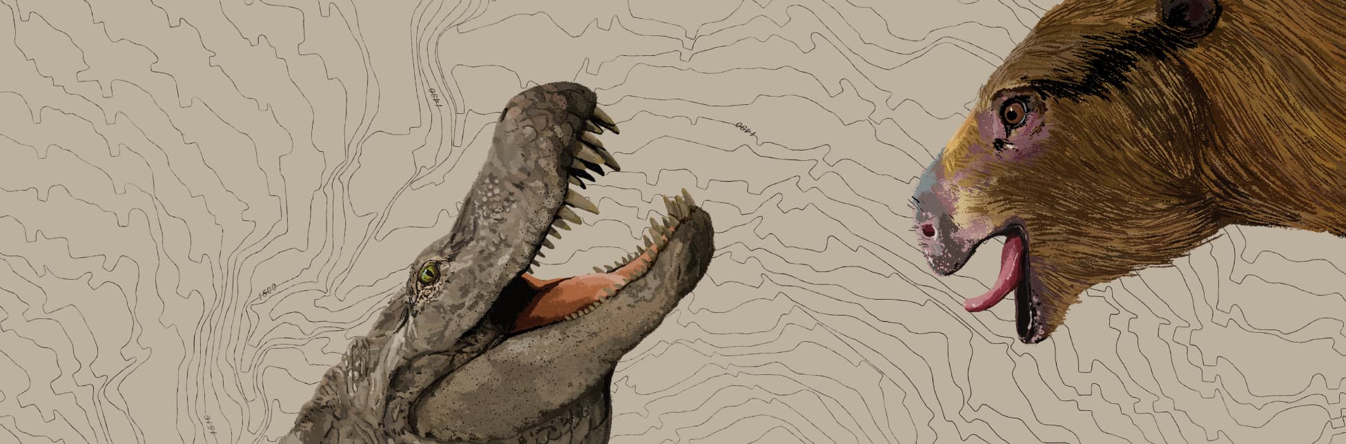 Ilustración. De la parte izquierda de la imagen sale un animal parecido a un cocodrilo, tiene piel gris y dientes grandes, está de perfil. Frente a él, de la parte derecha de la imagen sale un animal de cabeza grande y peluda color café, está de perfil, tiene hocico corto y redondeado, y orejas pequeñas.