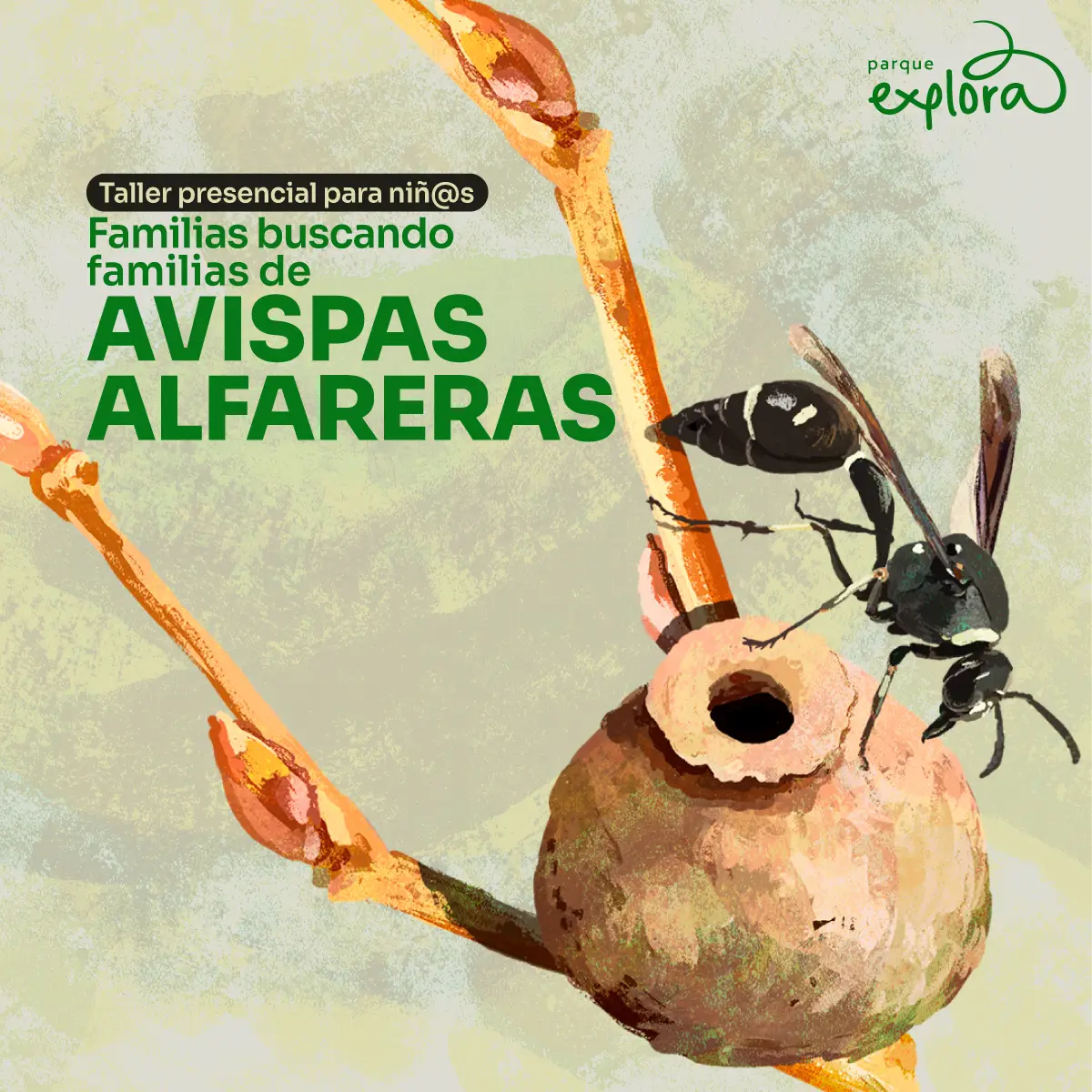 Imagen de galería