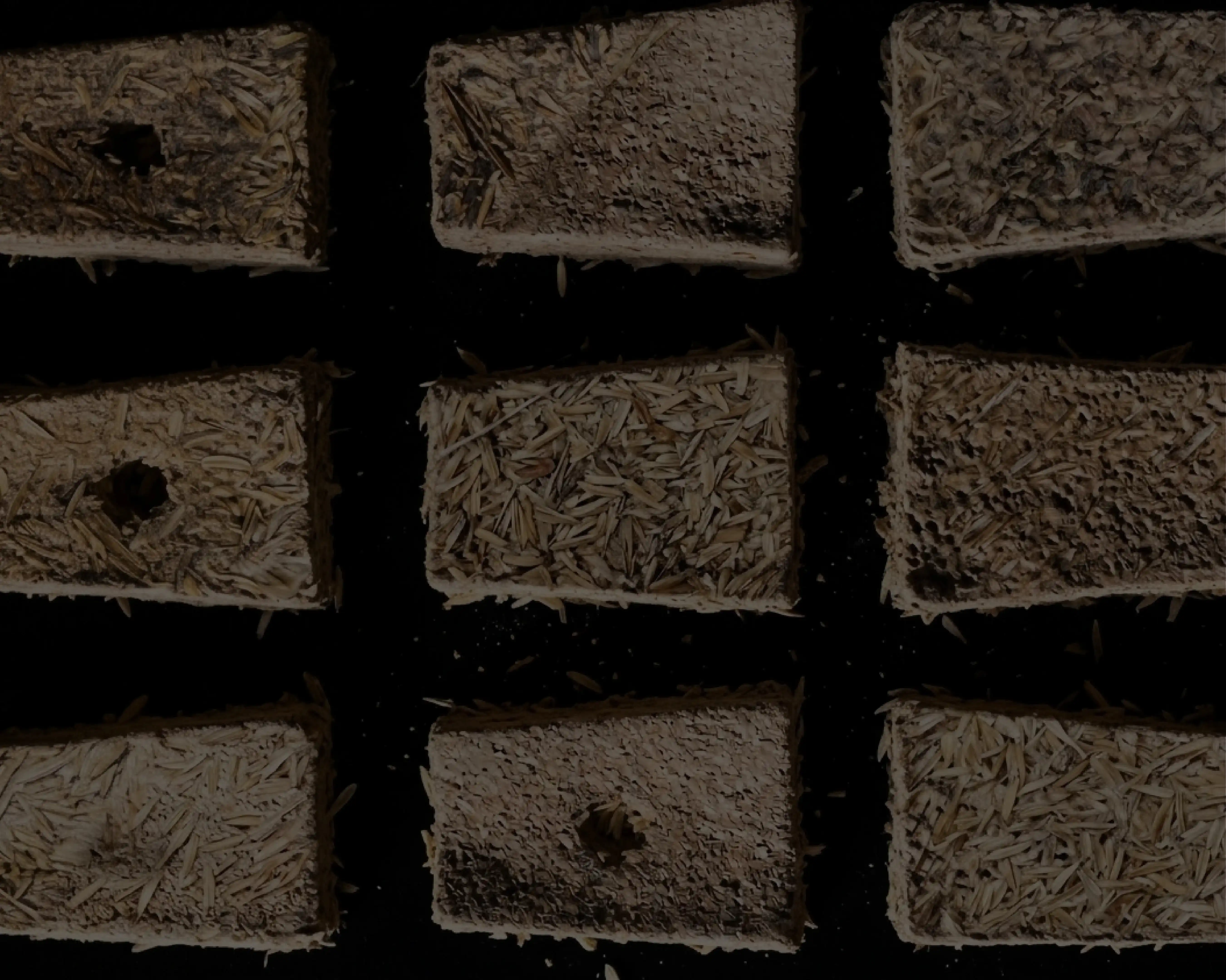 Fotografía. Sobre un fondo oscuro se observan nueve bloques rectangulares dispuestos en una cuadrícula de tres por tres. Cada bloque está hecho de un material claro y compacto con textura fibrosa, compuesto por fragmentos alargados similares a cáscaras o virutas vegetales. Las superficies de los bloques presentan variaciones: algunos tienen zonas más lisas y compactas, otros muestran granos sueltos o pequeñas cavidades. En dos de los bloques se distinguen orificios circulares en el centro. Alrededor de las piezas hay pequeños residuos dispersos del mismo material. La iluminación resalta los relieves y las diferencias de textura entre cada bloque.