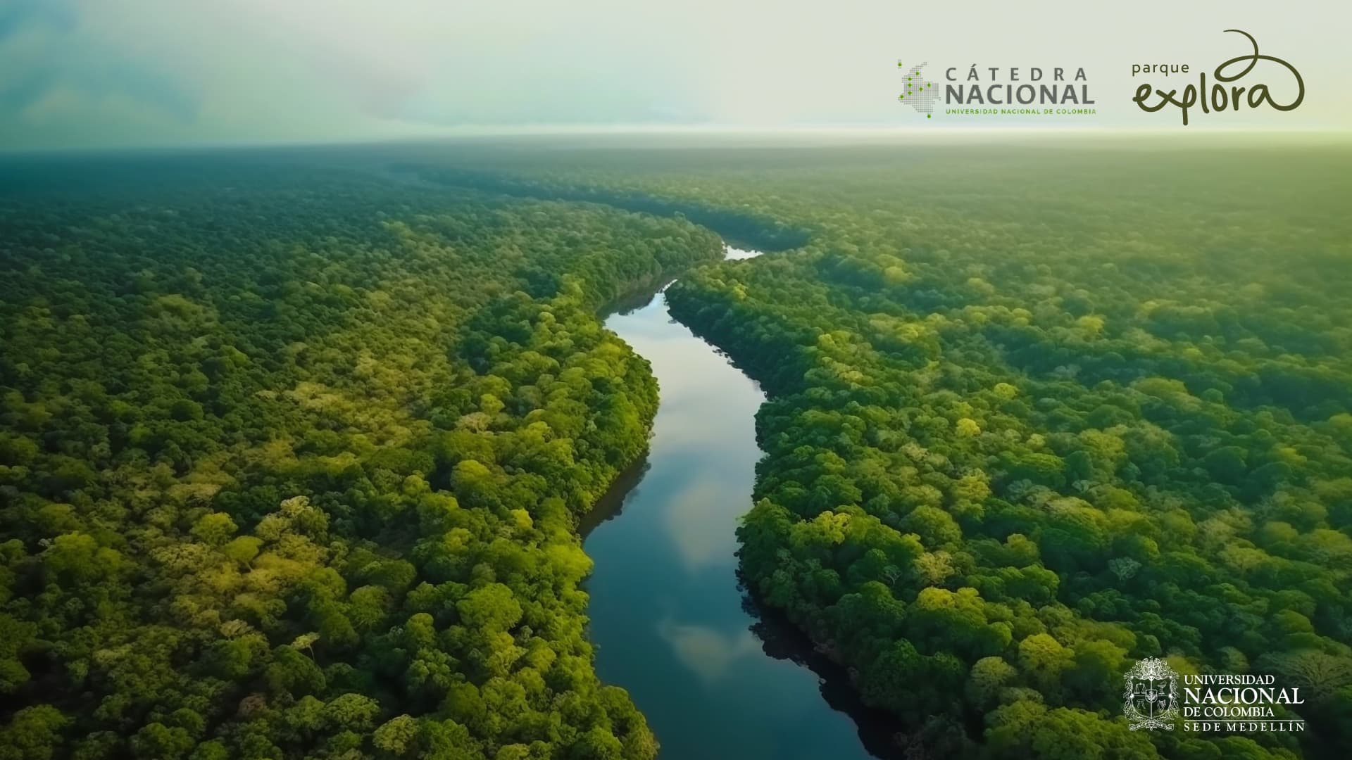 Foto. Una foto tomada desde arriba de un paisaje boscoso atravesado por un río ondeante.