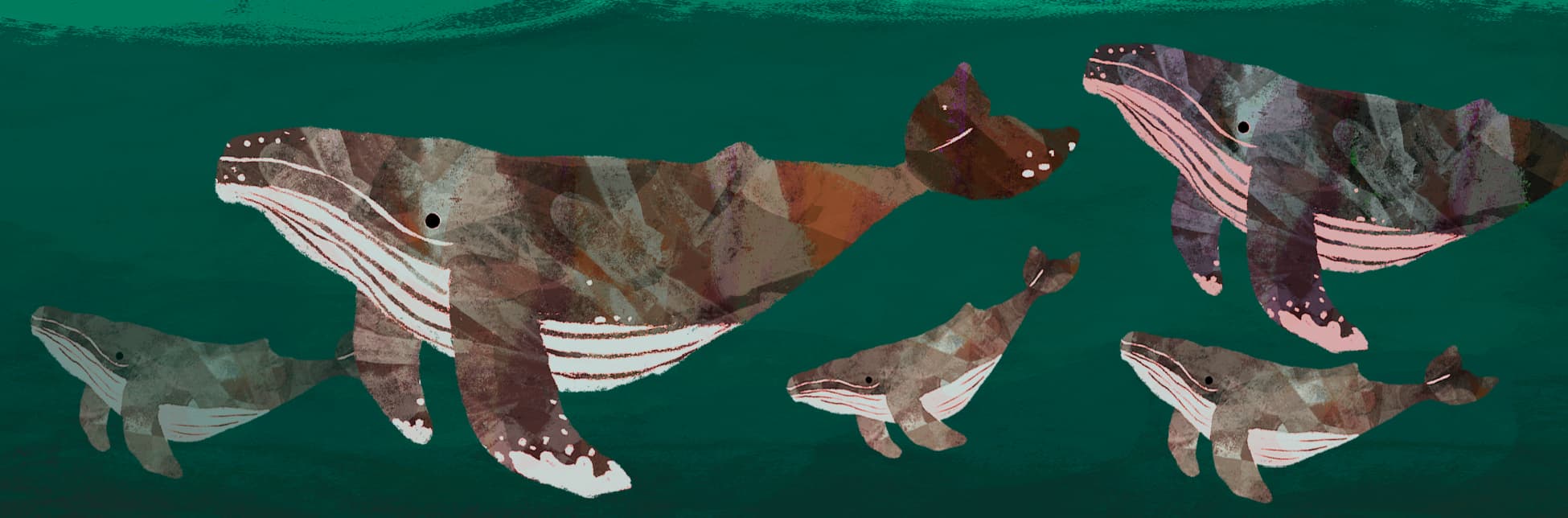 Ilustración. Sobre un fondo verde oscuro con textura marina, nadan siete ballenas jorobadas en diferentes tamaños y tonos rojizos, morados y grises. Están distribuidas en distintas posiciones, como si se desplazaran en grupo.