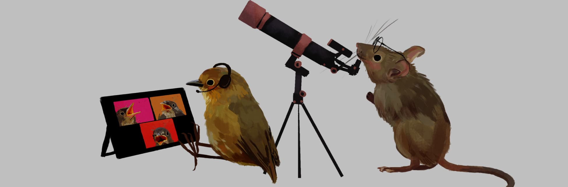 Ilustración. En la parte inferior de la imagen un ratón con gafas mira por un telescopio, a su lado un pájaro con auriculares mira una tablet donde salen tres pájaros más.