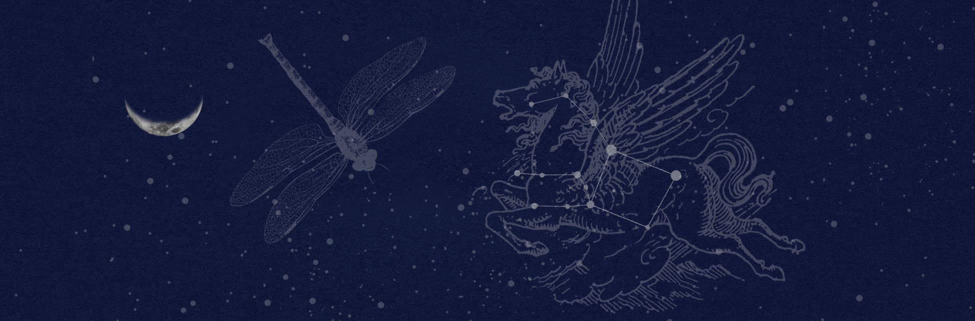 Ilustración. Sobre la silueta de una ciudad aparece un cielo nocturno con un azul intenso y muchas estrellas. El el centro la Luna que es apenas un cachito y a los lados la figura artística de una libélula y un pegaso.