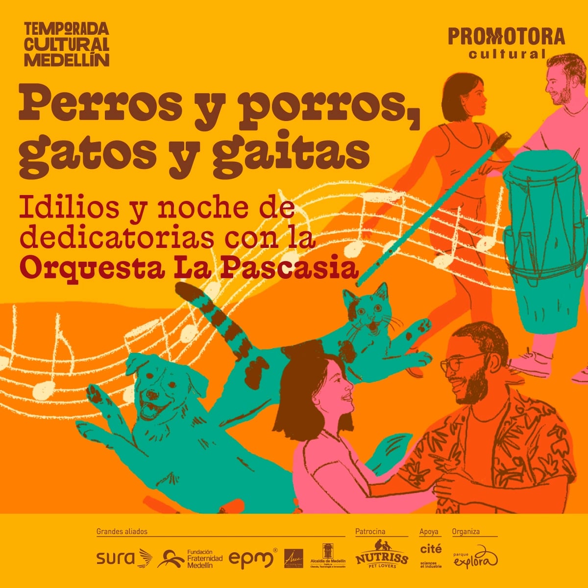 Imagen de galería