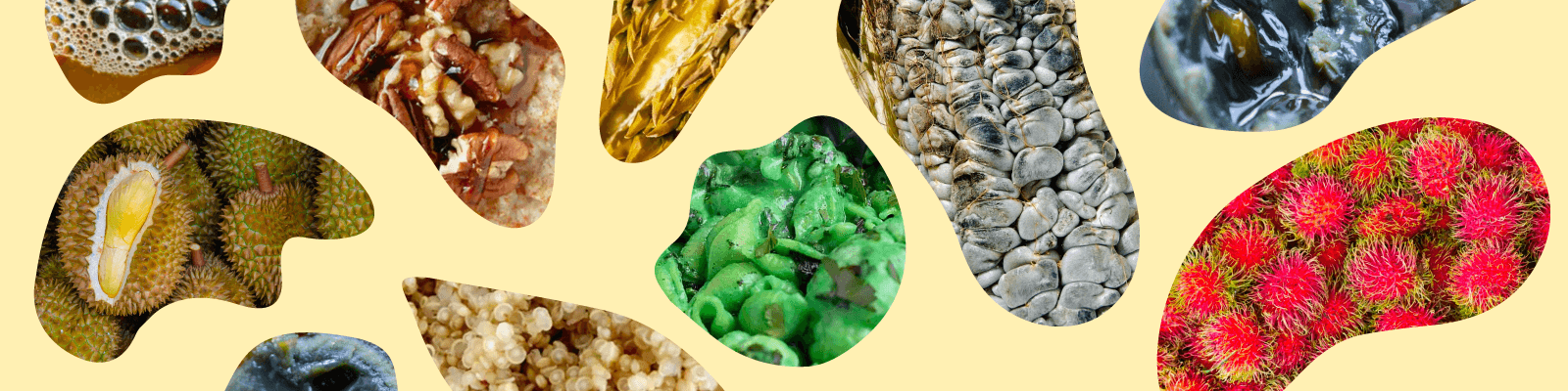 Fotografía. Aparecen fragmentos de comidas que resultan desagradables: las burbujas de una bebida, granos con quemaduras, un elementos viscoso.