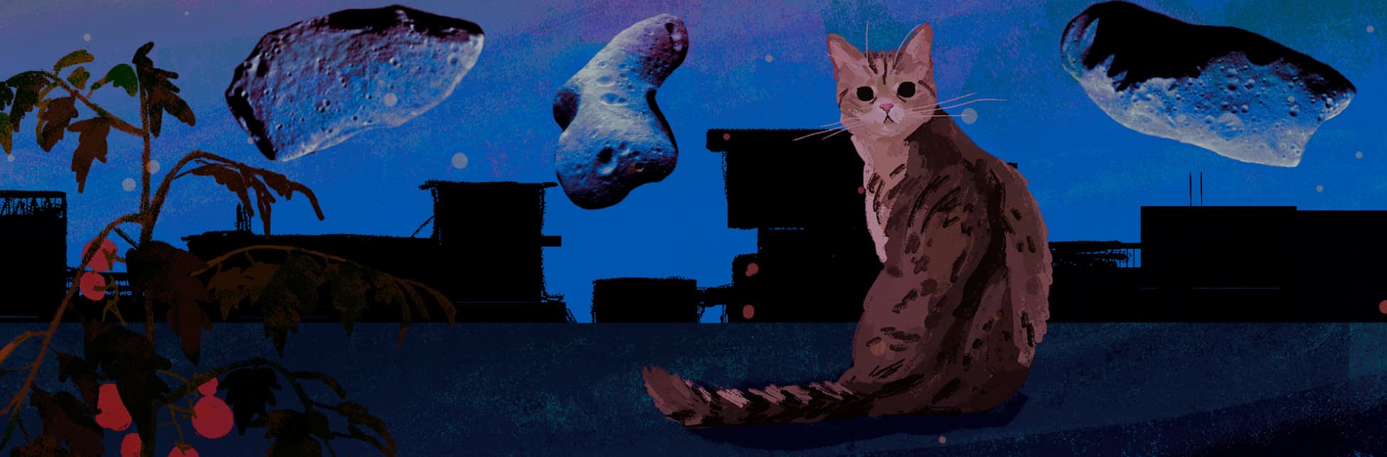 Ilustración. Sobre un cielo estrellado en el que se ve la silueta de algunos edificios aparece un gato de espaldas que mira al frente a quien observa la imagen, tiene manchas cafés en todo su cuerpo. Sobre él varias rocas con formas disparejas.
