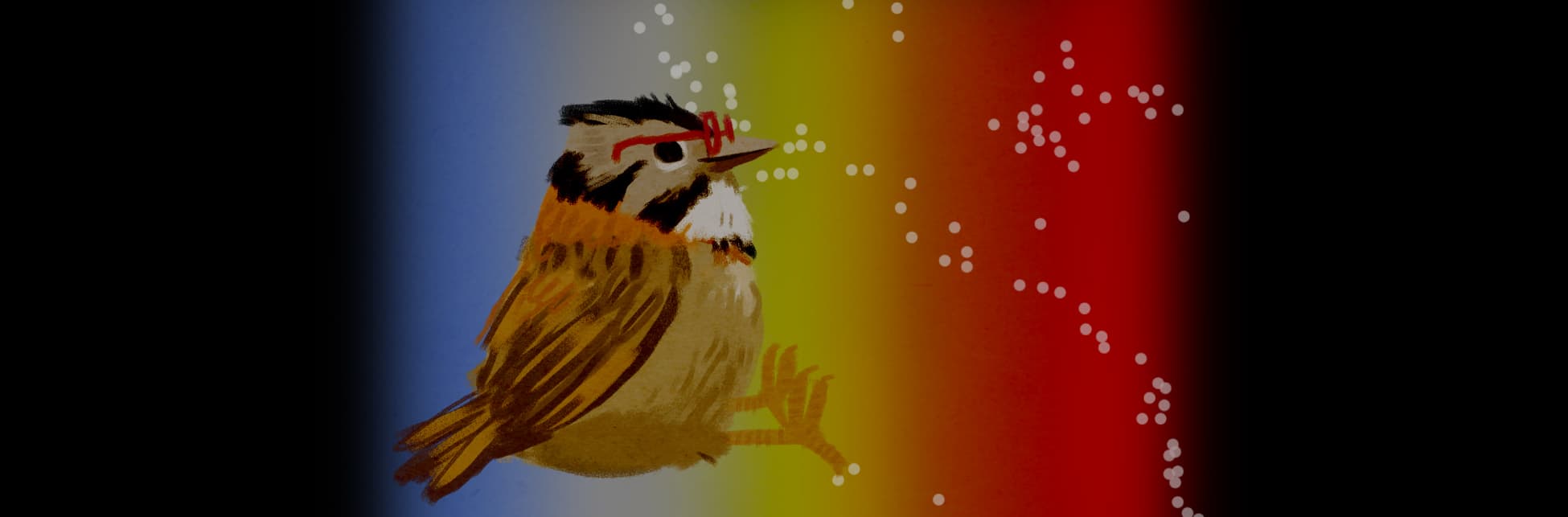 Ilustración. Un pájaro cucarachero de cuerpo completo, de perfil. Está sentado dentro de una franja de colores y estrellas, lleva gafas y mira hacia arriba.