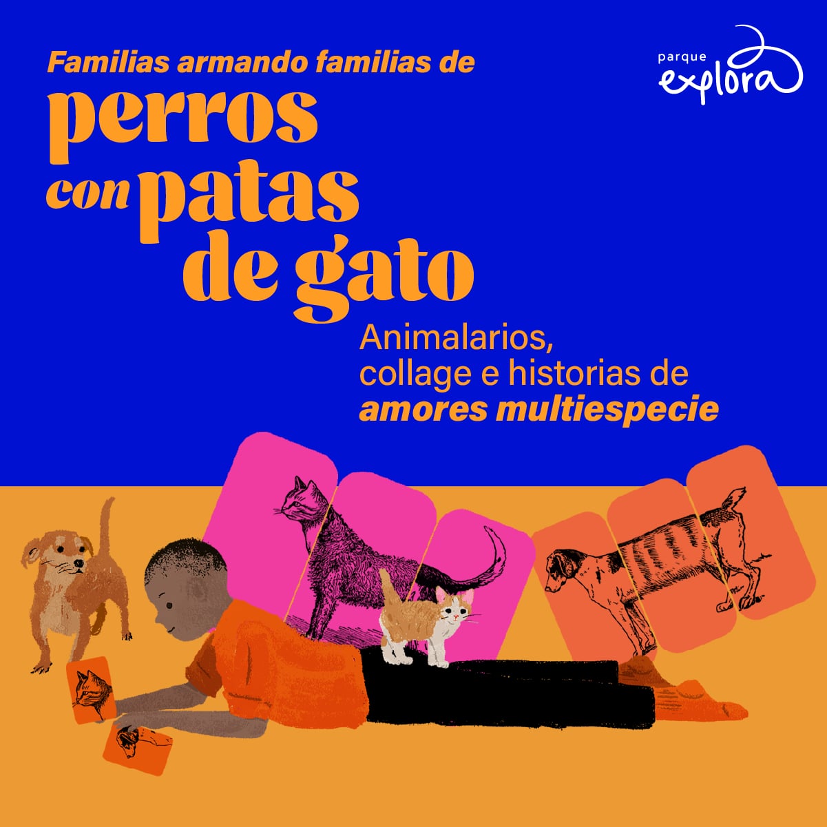 Imagen de galería