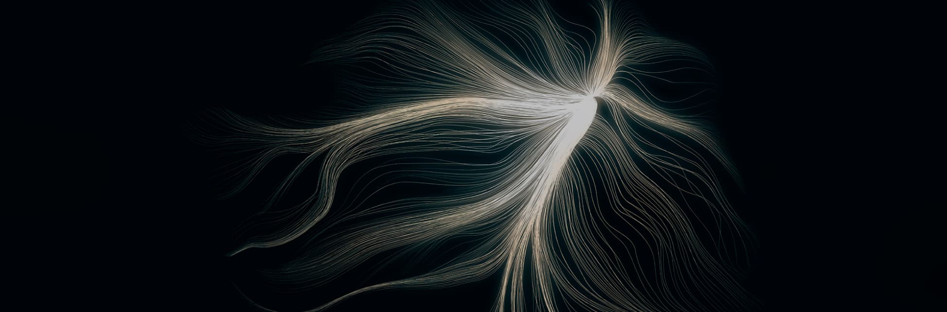 Ilustración. Sobre un fondo oscuro se destaca una forma luminosa en el centro derecho, compuesta por múltiples líneas finas y onduladas que se expanden hacia distintas direcciones. Las líneas, similares a filamentos o hebras de luz, nacen de un núcleo brillante y se despliegan en curvas suaves que se alargan hacia la izquierda y hacia la parte inferior, creando la sensación de movimiento fluido.