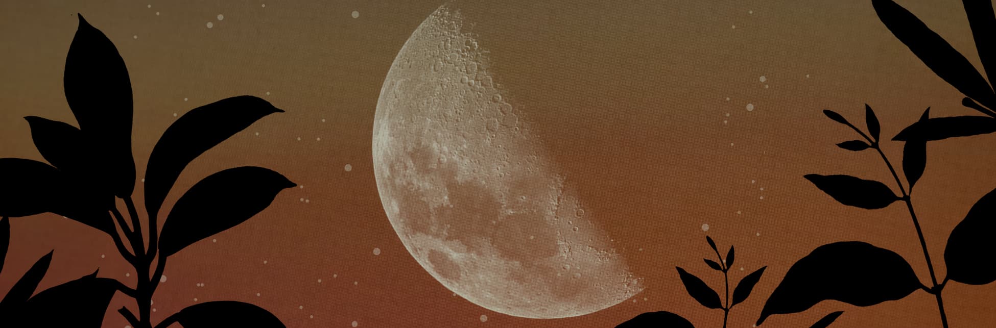 Composición fotográfica. Sobre un fondo en tonos naranjas y amarillos y una textura sutil de tejido aparece una luna creciente iluminada solo la mitad. En la parte inferior de la imagen la silueta de varias plantas y hojas.