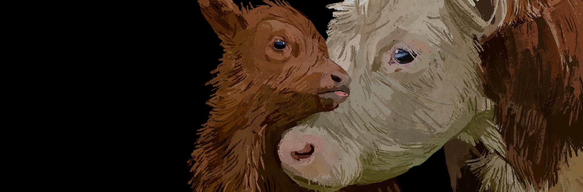 Ilustración. En la parte inferior de la imagen aparecen una vaca adulta y su cría, muy cerca una de la otra, con las cabezas inclinadas como si se observaran o rozaran el hocico. La vaca ocupa el lado izquierdo y el centro, con pelaje de tonos claros en la cara y más oscuro en el cuerpo; la cría se ubica hacia la derecha, con el hocico levantado hacia la adulta.