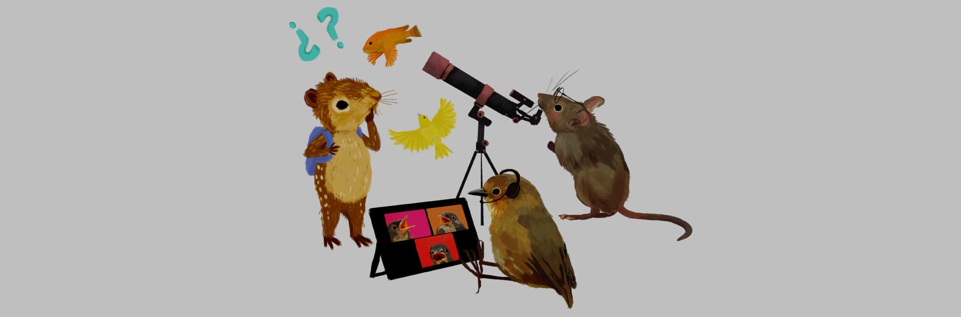 Ilustración horizontal. En el centro de la imagen un pajarito con audífonos está sentado frente a una tablet que muestra en la pantalla 3 cuadros, cada uno con un pajarito en primer plano con el pico abierto. Al lado del pajarito un ratón con gafas mira a través de un telescopio. Frente a ellos una paca está de pie con un morral en la espalda y tiene una mano apoyada en su rostro indicando intriga. Sobre la paca vuela un pájaro pequeñito amarillo, pasa un pez naranjado y hay dos signos de interrogación.