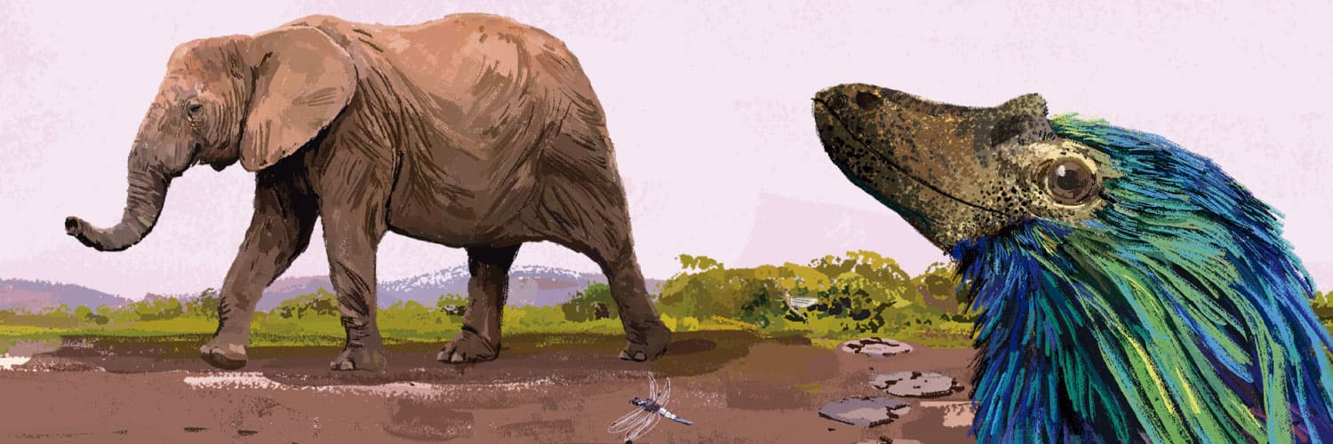 Ilustración. Un elefante de cuerpo entero y de perfil se ve caminando hacia la izquierda y dejando las huellas de sus pasos en un barrizal. A la izquierda, en una figura con la forma de una de estas huellas, aparecen varios insectos, un renacuajo y una sanguijuela. Adelante, en primer plano, aparece la cabeza de perfil de un dinosaurio parecido a un ave con pico y con plumas iridiscentes en tonos azulados, verdosos y naranjados.