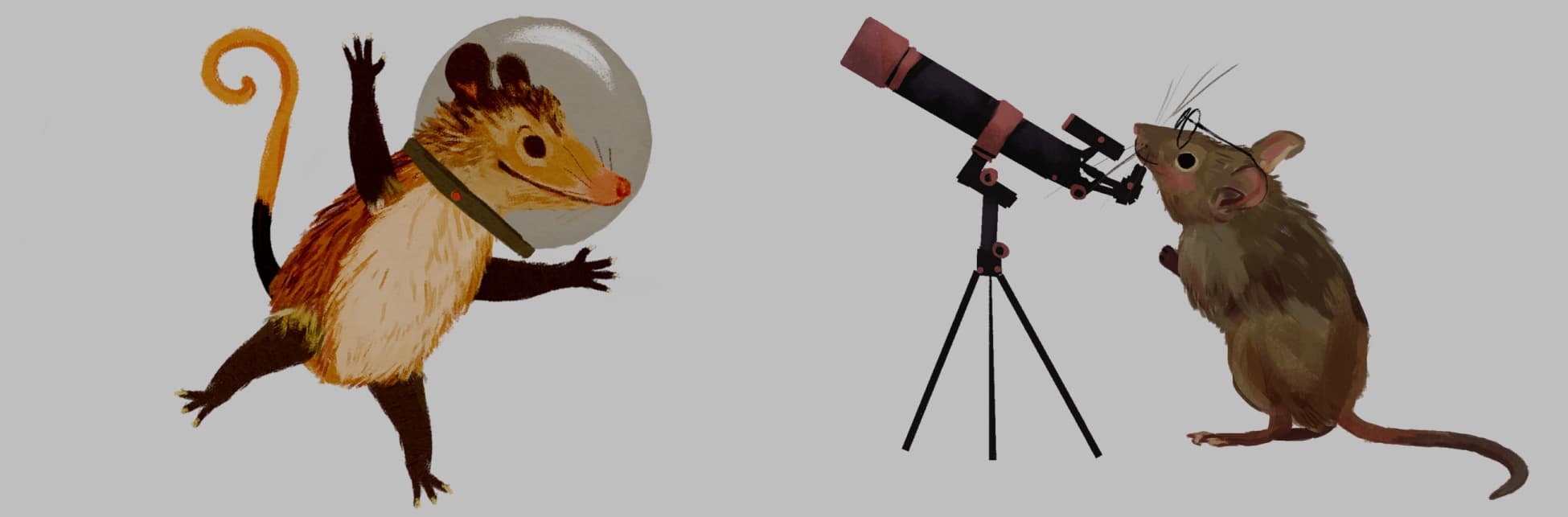Ilustración. Una zarigüeya de pelaje en tonos cafés flota con un casco de astronauta, tiene su colita enroscada. Al frente, un roedor color gris con gafas observa a través de un telescopio.