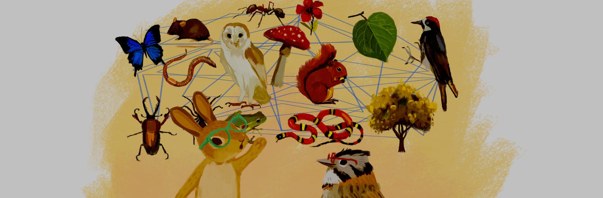 Ilustración. Abajo a la derecha, de perfil y en plano medio, un pájaro con gafas. A la izquierda un conejo también de gafas y con aspecto de asombrado. Ambos miran hacia el centro de la imagen, donde hay diversos seres vivos conectados por hilos: un pájaro, una serpiente, un árbol. una hoja, una flor, una hormiga.