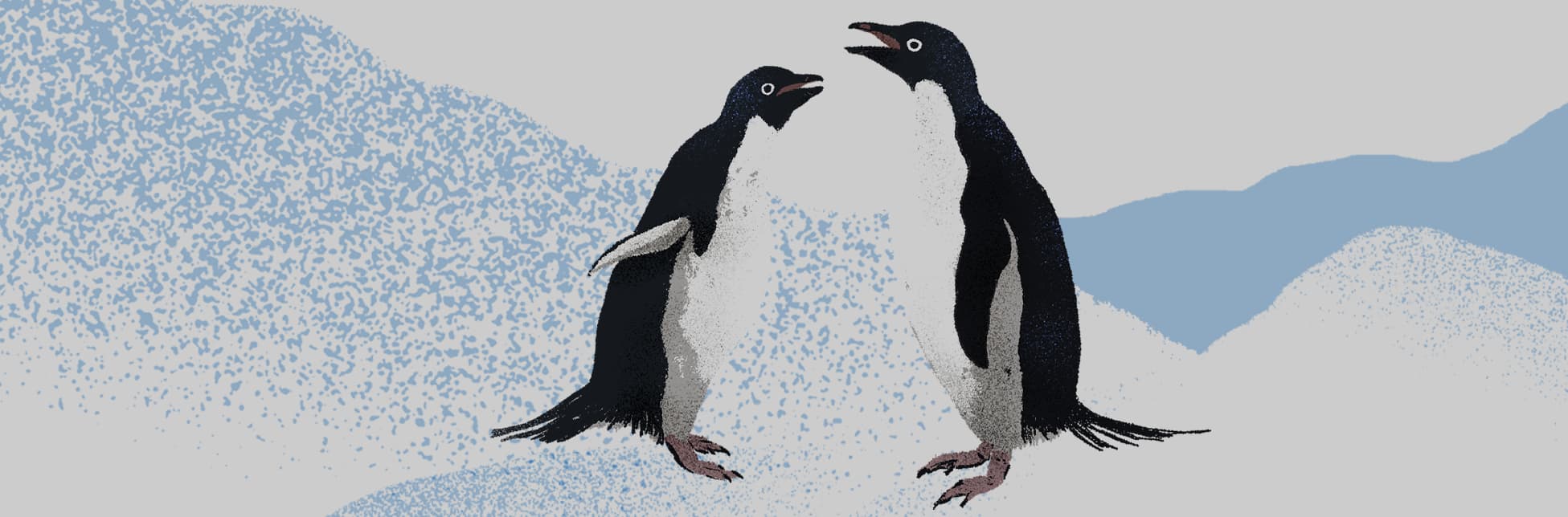 Ilustración. Sobre un fondo claro con texturas que evocan hielo y salpicaduras, aparecen dos pingüinos de cuerpo negro y blanco, uno a la izquierda de perfil y otro al centro ligeramente inclinado hacia adelante.