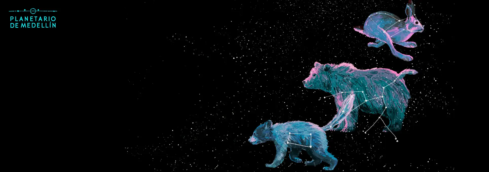 Ilustración. Sobre un fondo negro con estrellas, aparecen una liebre, un oso y un osezno, dibujados con líneas y puntos que forman constelaciones sobre sus cuerpos.